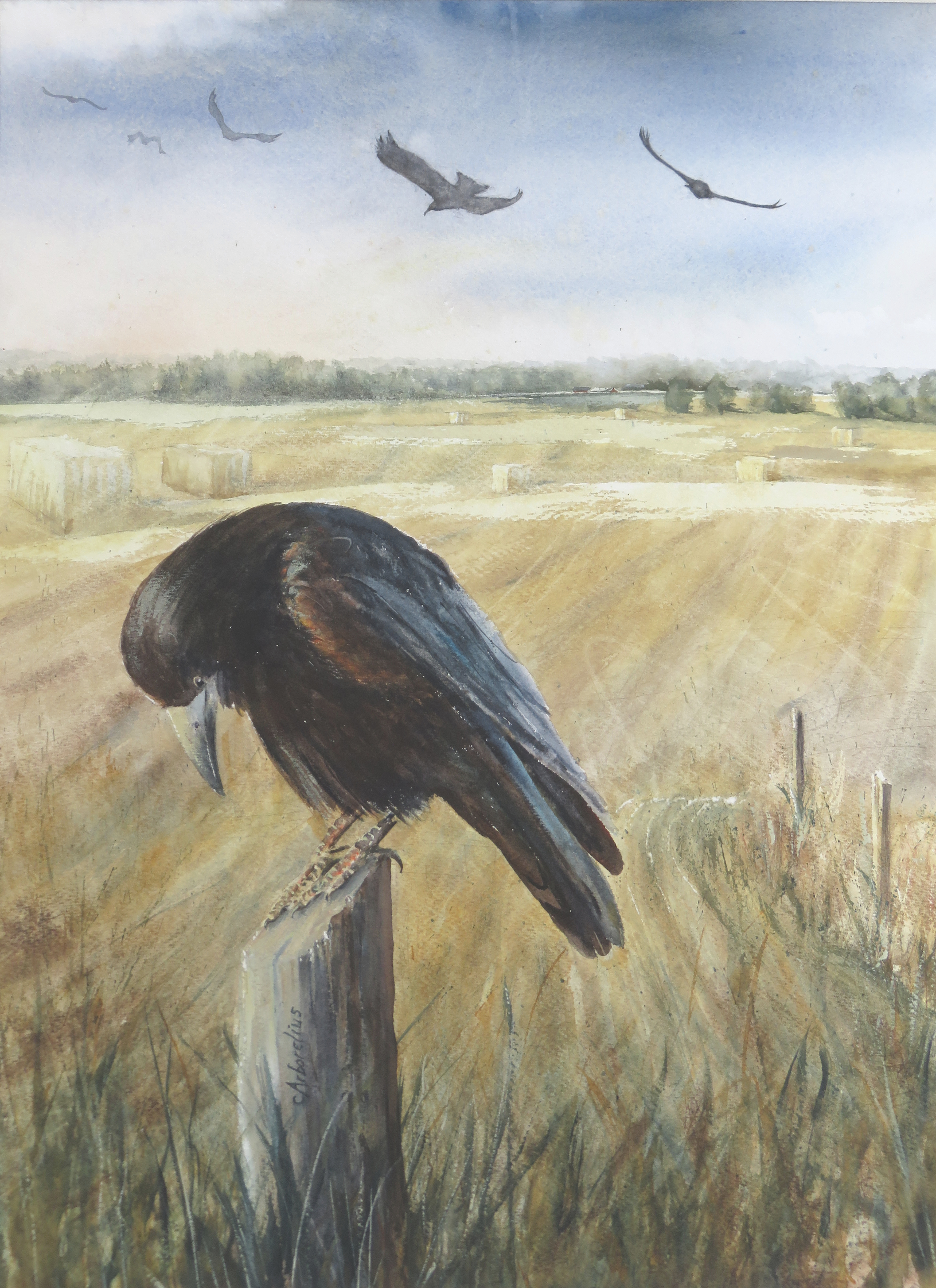 Charlotte Arborelius Råkan 73x53 Akvarell