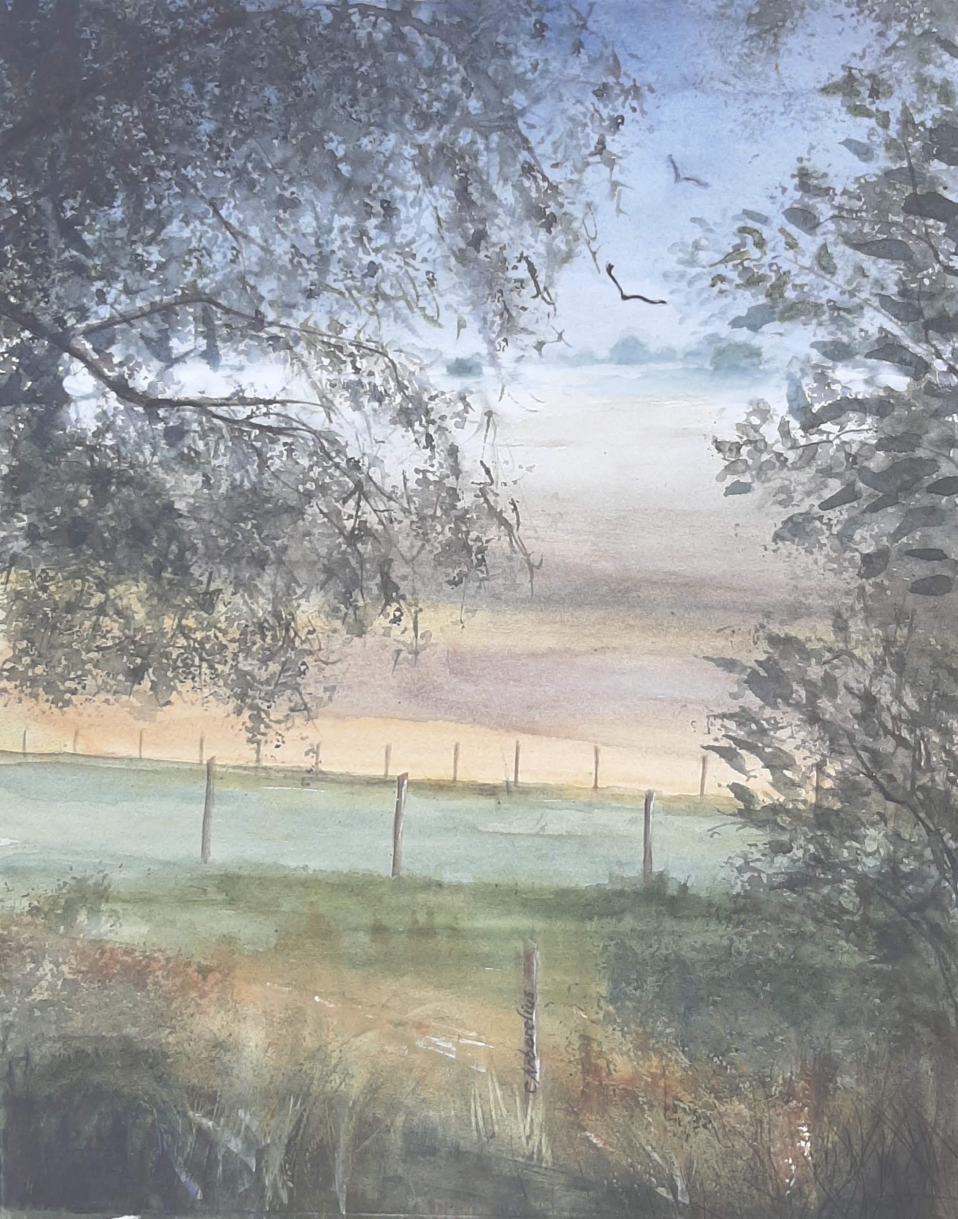 höstmorgon