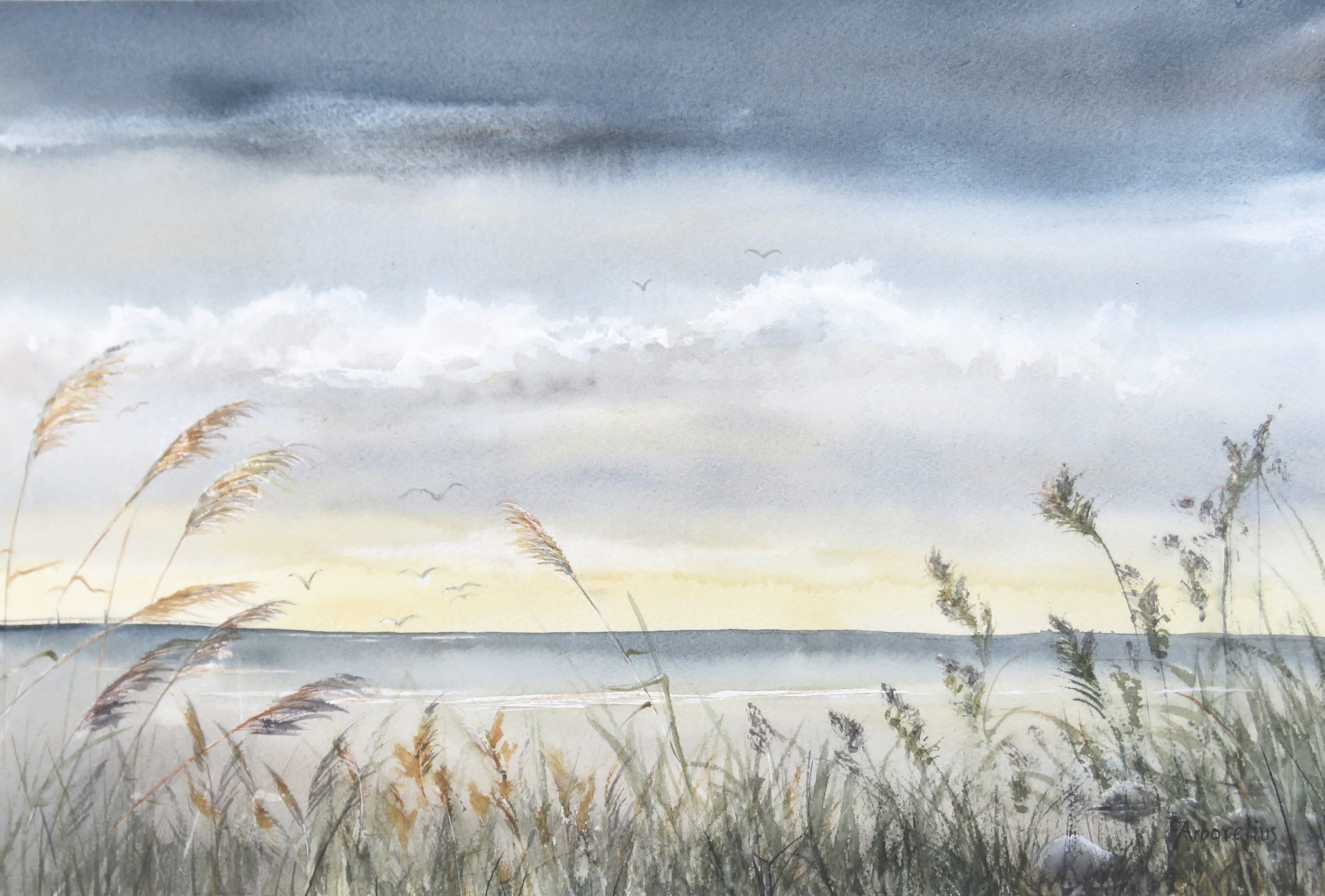 strandpromenad vid öresund